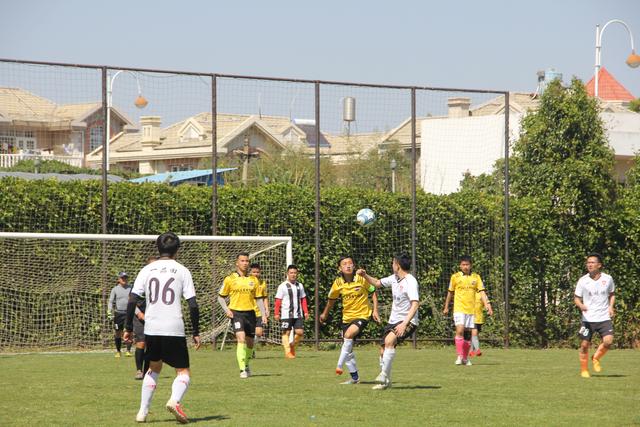 卢伟被举报打假球！上海队面临追罚，张镇麟坑惨球队